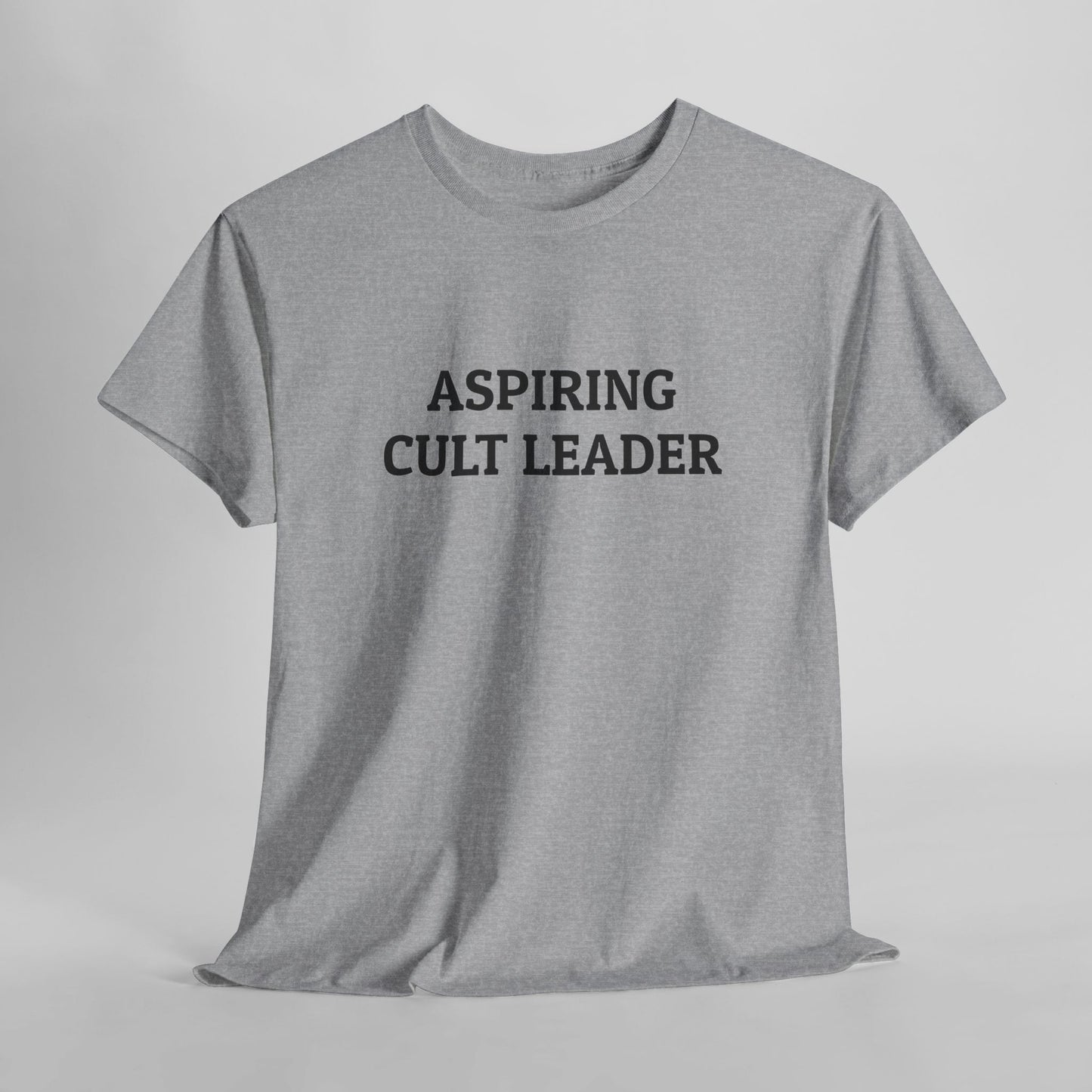 Aspiring Cult Leader Tee