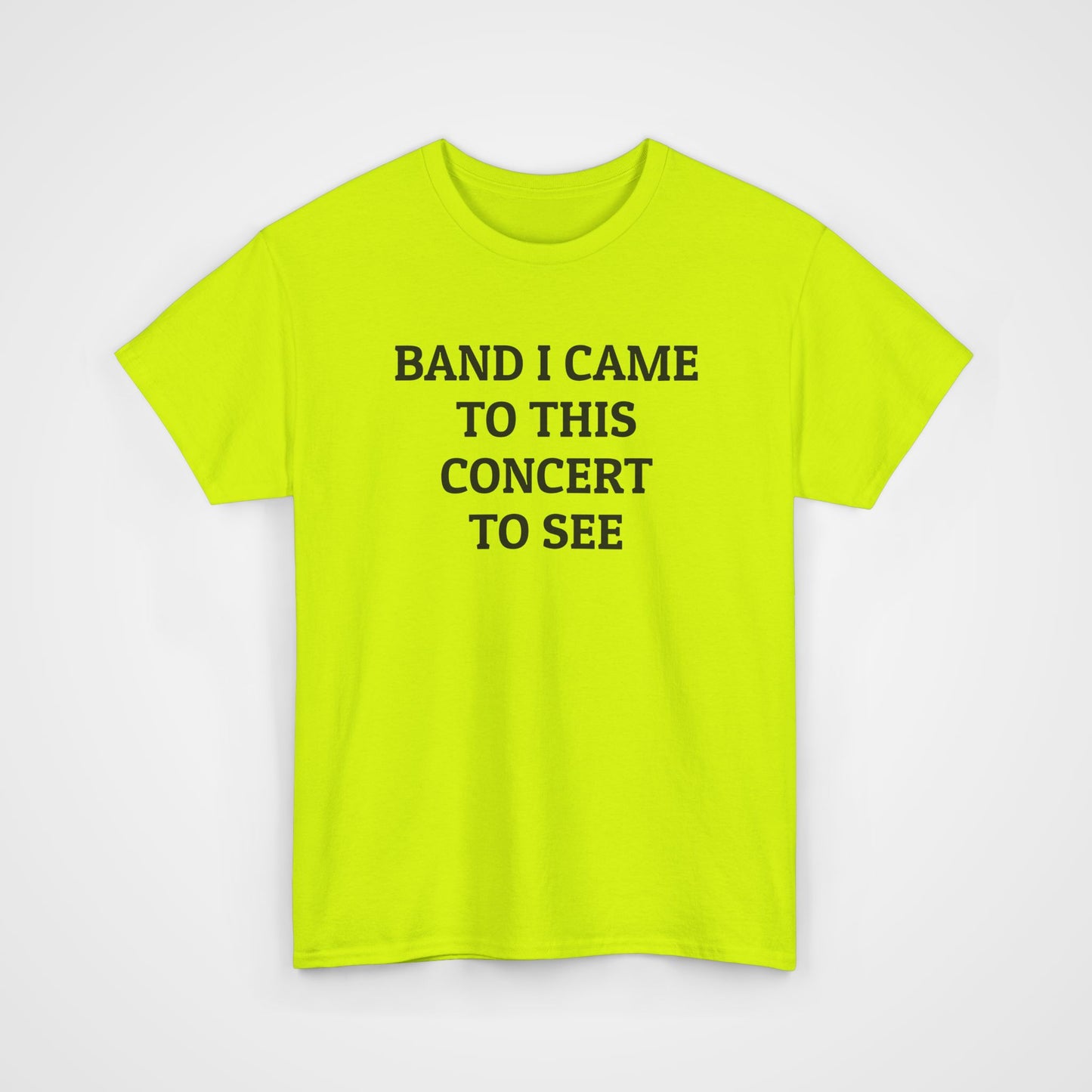 Band I Came to This Concert to See Tee
