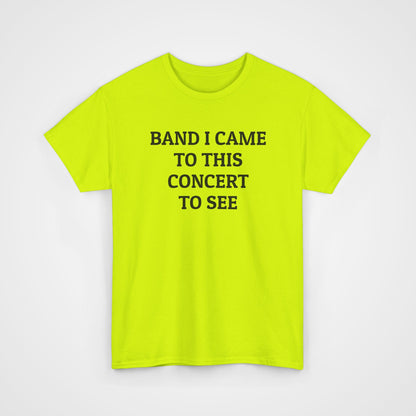 Band I Came to This Concert to See Tee