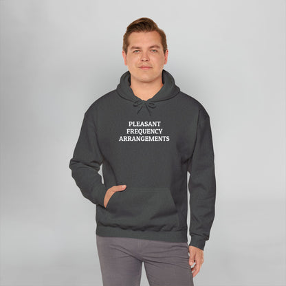 Pleasant Frequency Arrangements Hoodie