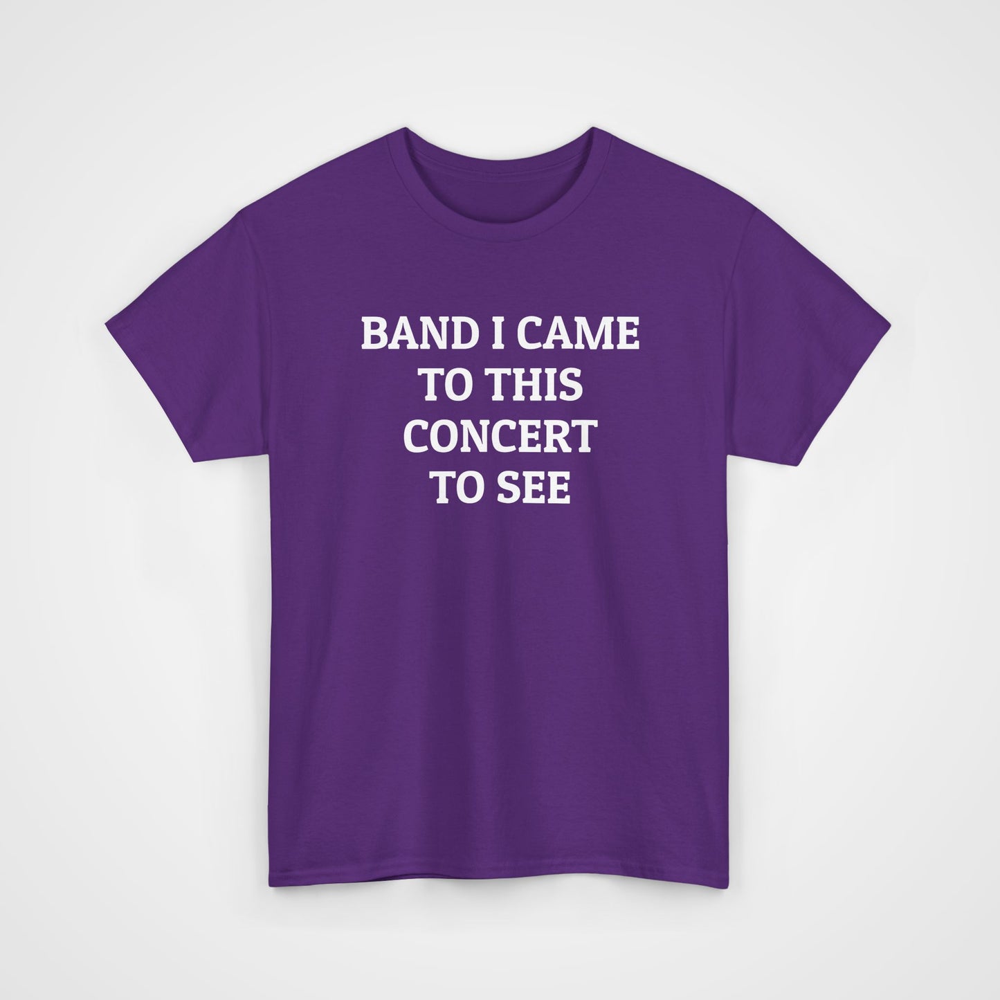 Band I Came to This Concert to See Tee