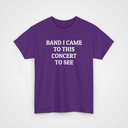 Band I Came to This Concert to See Tee