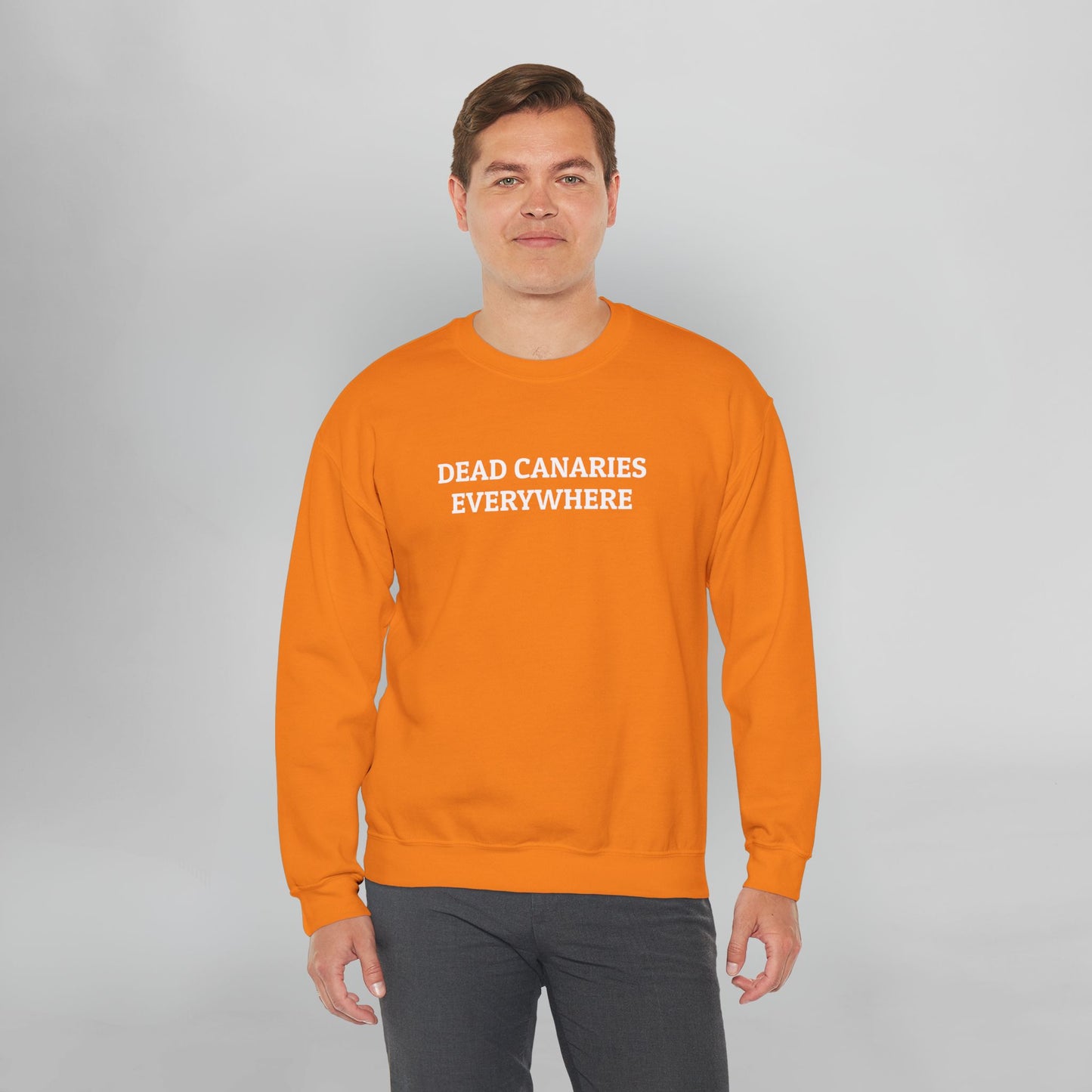 Dead Canaries Everywhere Sweatshirt