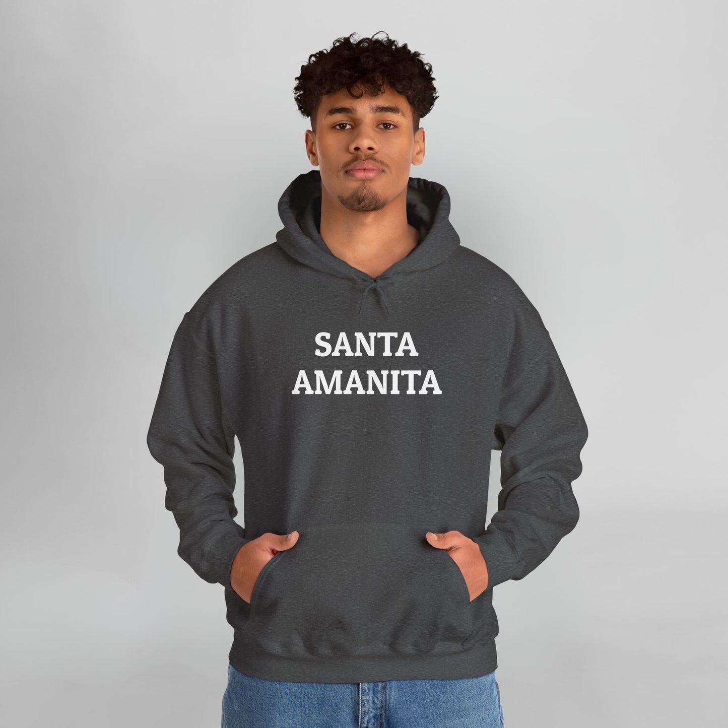 Santa Amanita Hoodie