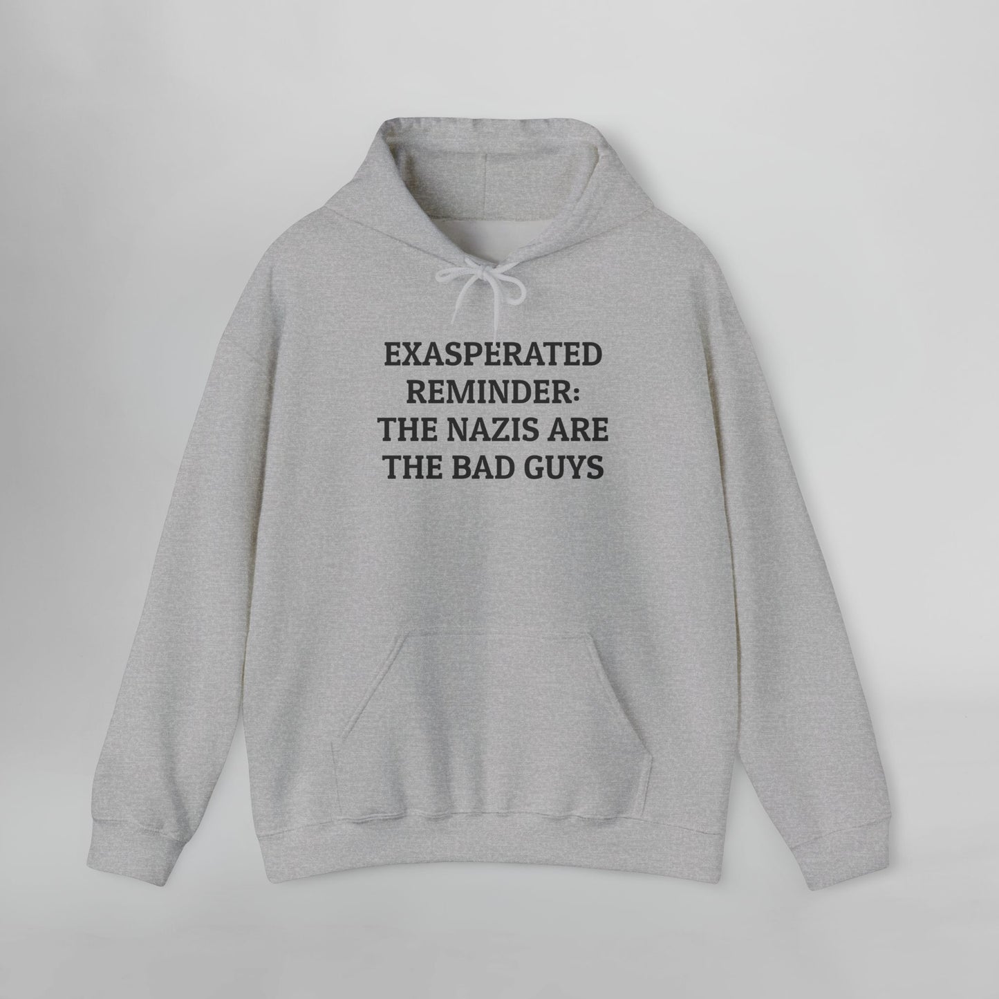 Exasperated Reminder: The Nazis are the Bad Guys Hoodie
