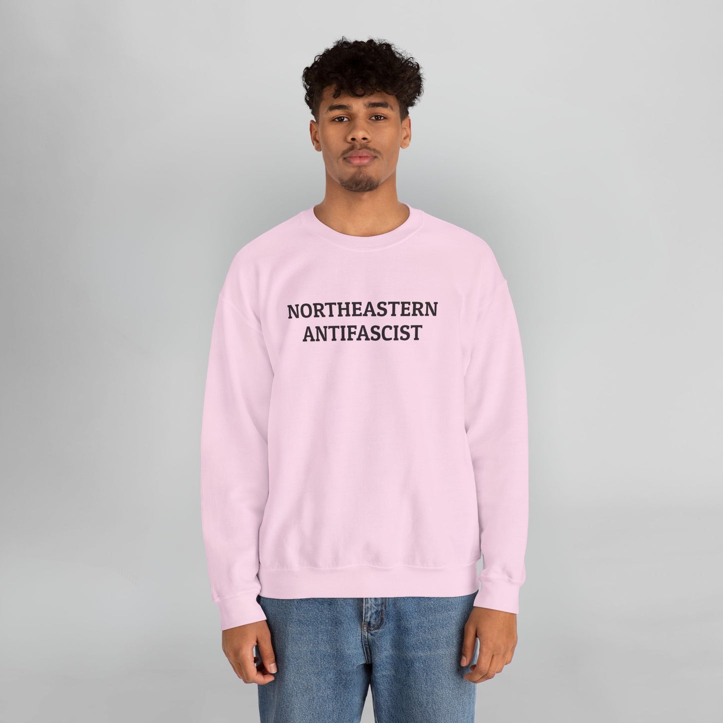 Northeastern Antifascist Sweatshirt