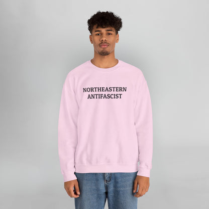 Northeastern Antifascist Sweatshirt