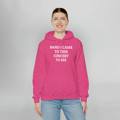 Band I Came to This Concert to See Hoodie