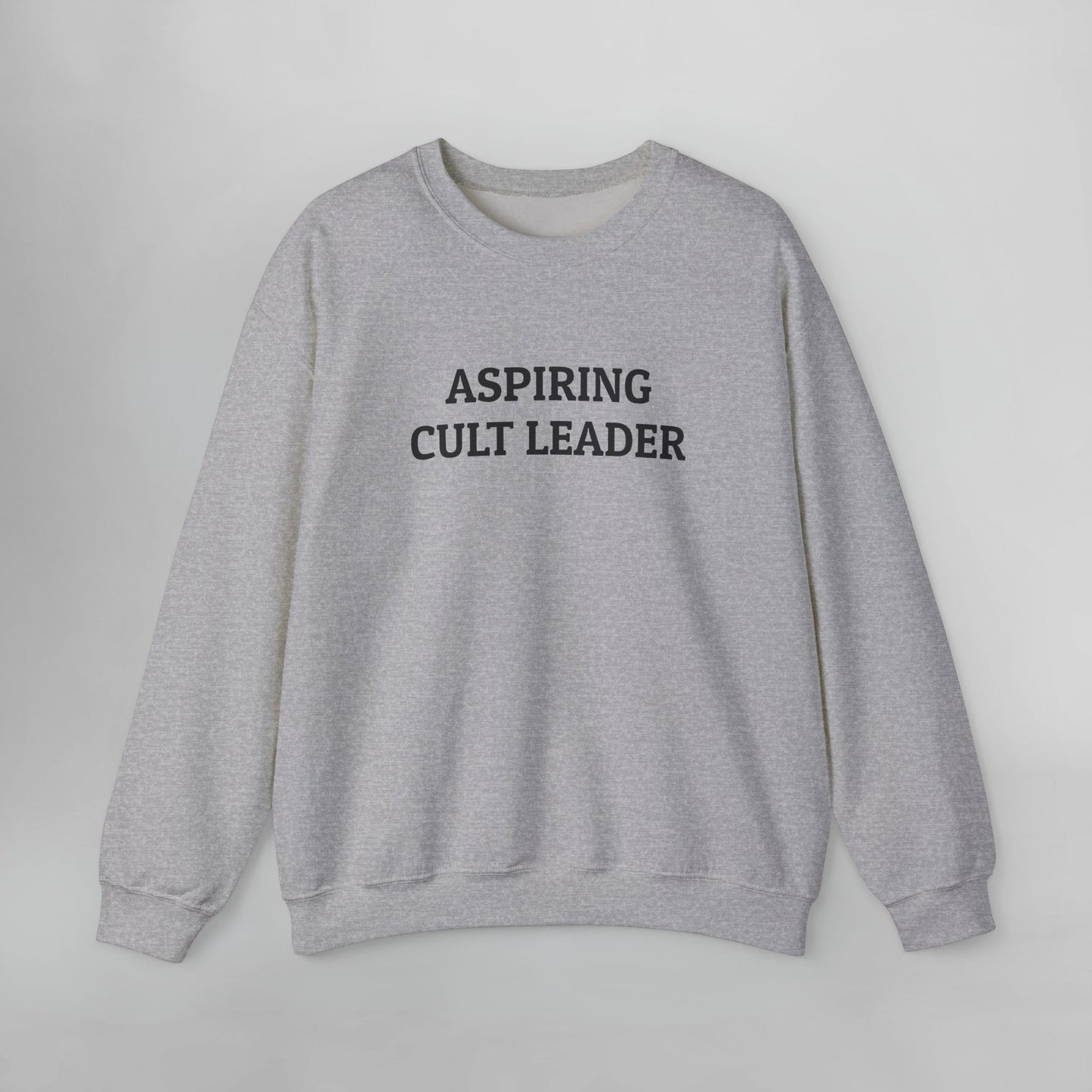 Aspiring Cult Leader Sweatshirt