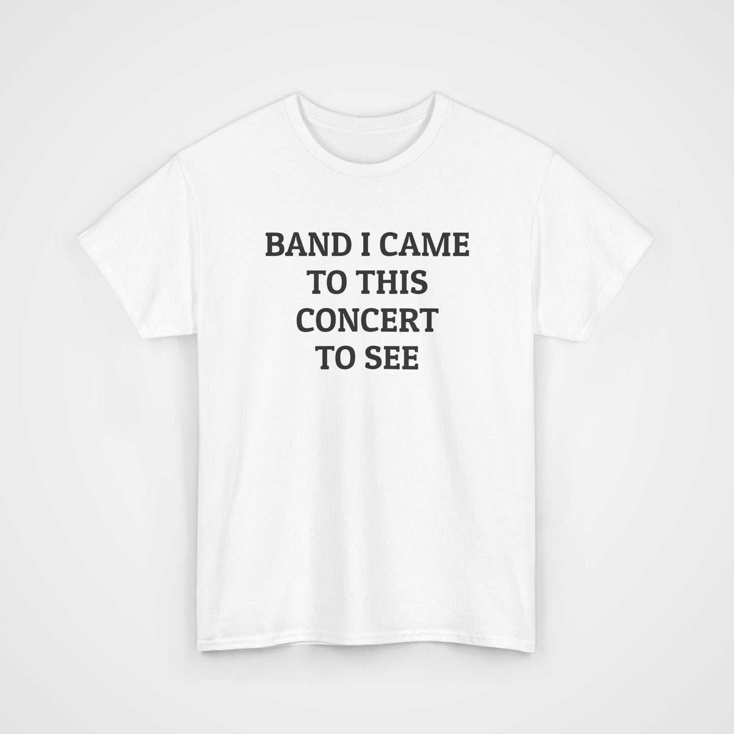 Band I Came to This Concert to See Tee