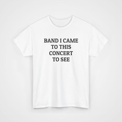 Band I Came to This Concert to See Tee