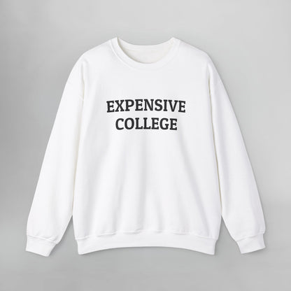 Expensive College Sweatshirt