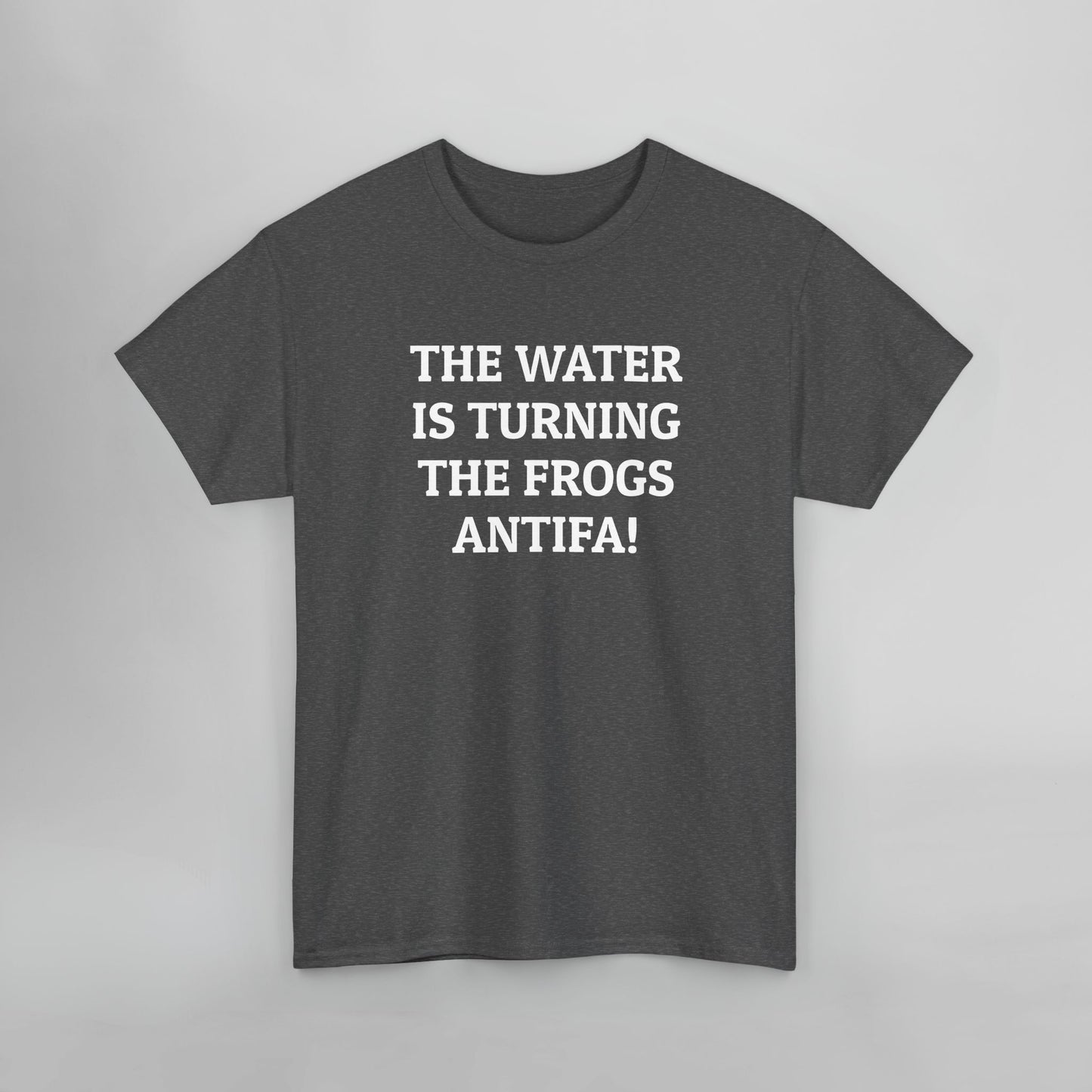 The Water Is Turning the Frogs Antifa Tee