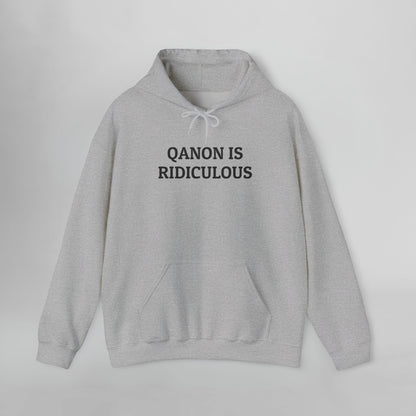 QAnon Is Ridiculous Hoodie