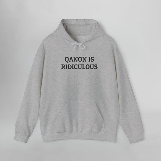 QAnon Is Ridiculous Hoodie