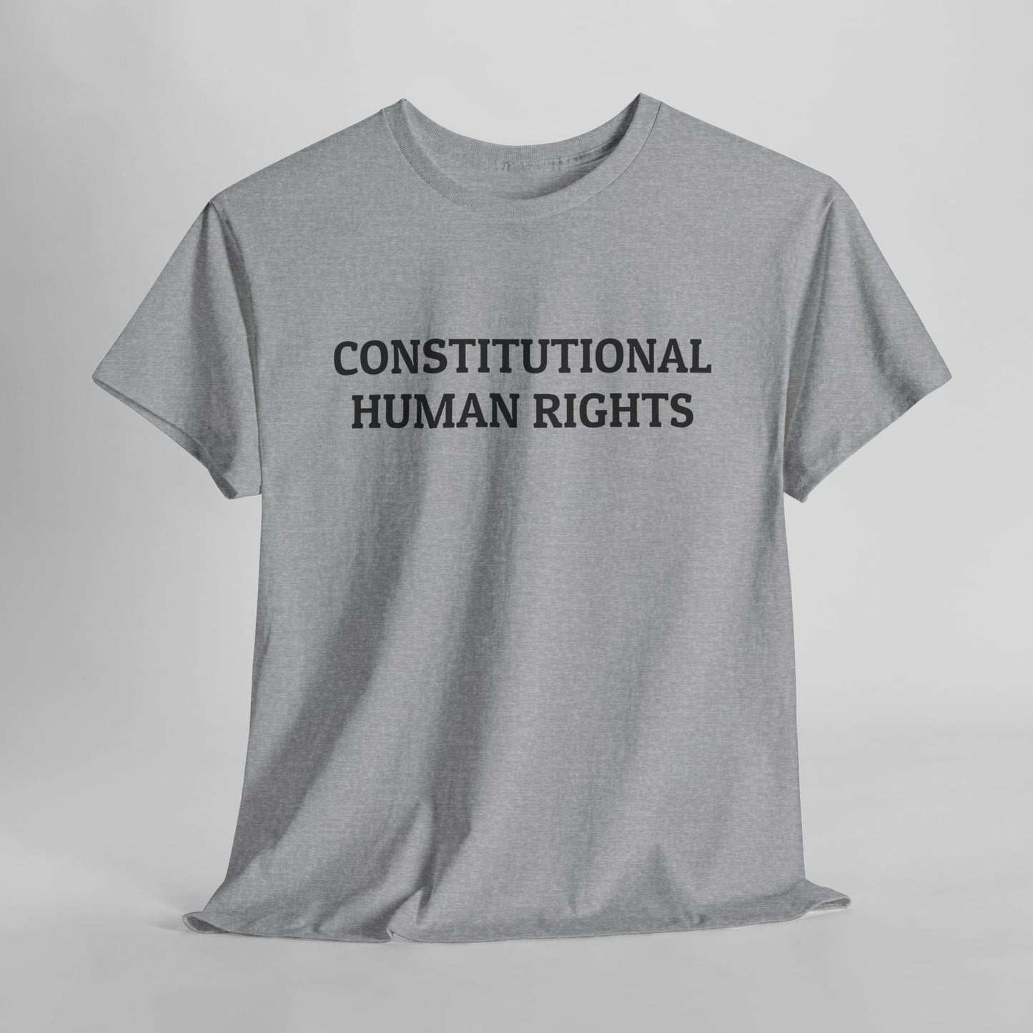 Constitutional Human Rights Tee