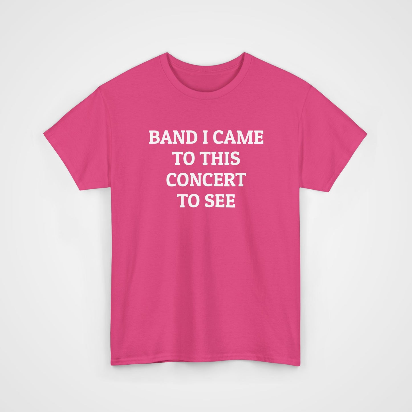 Band I Came to This Concert to See Tee