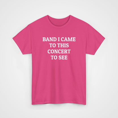 Band I Came to This Concert to See Tee