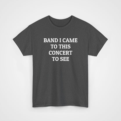 Band I Came to This Concert to See Tee