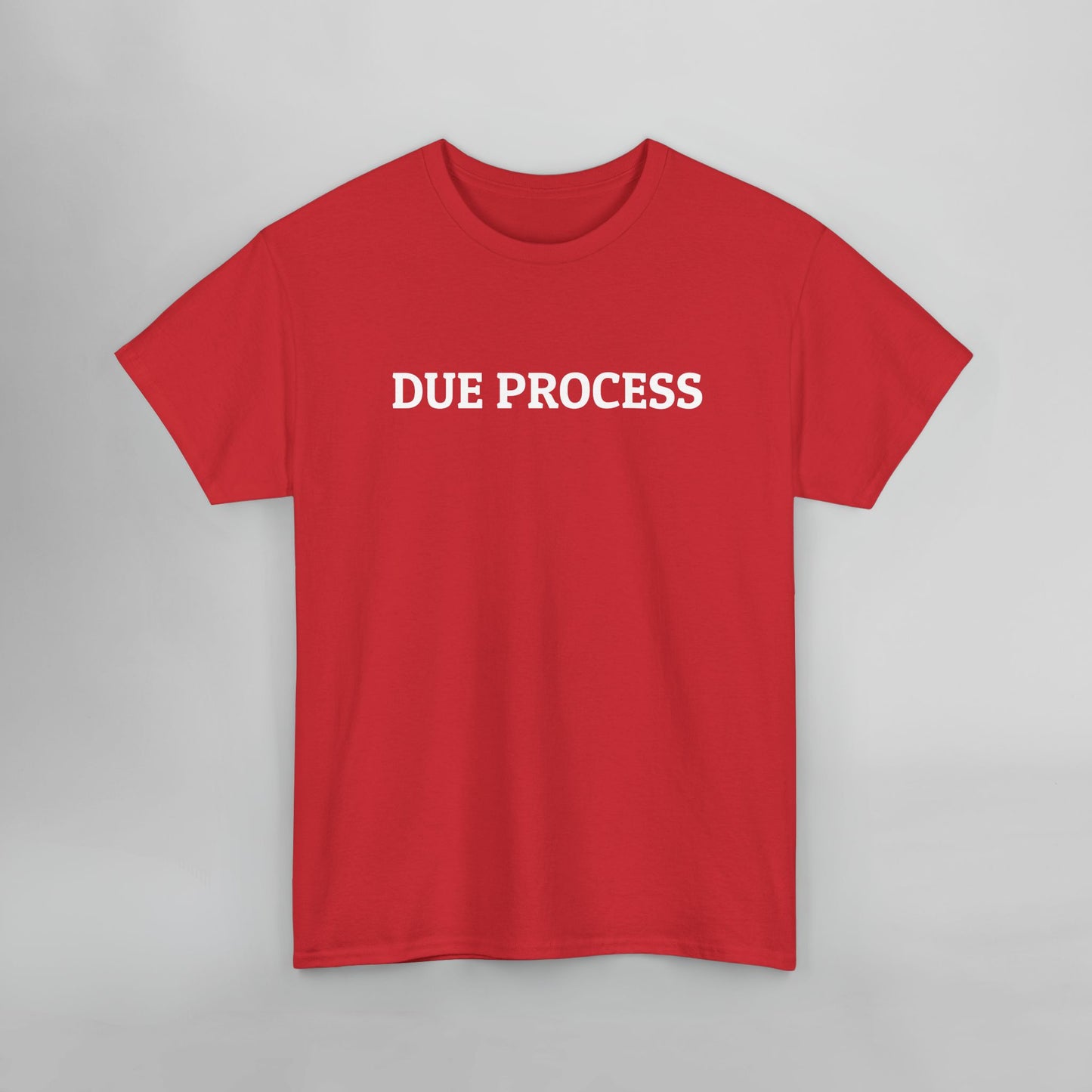Due Process Tee