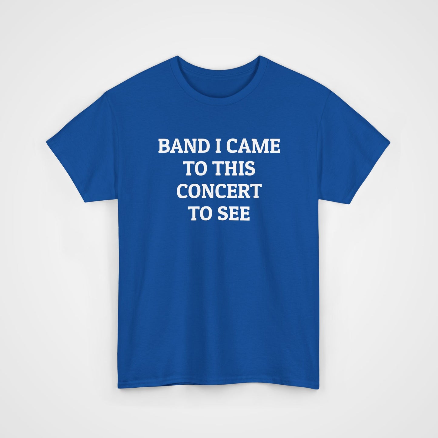 Band I Came to This Concert to See Tee