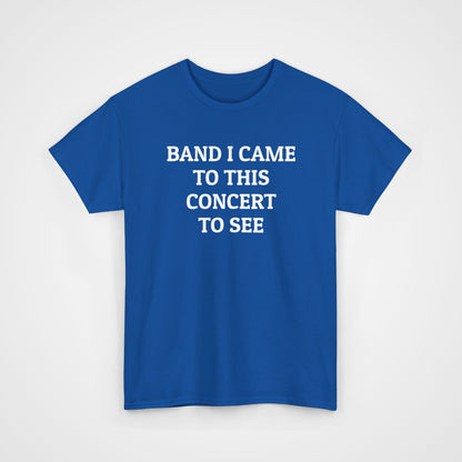 Band I Came to This Concert to See Tee