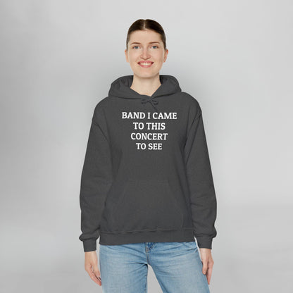 Band I Came to This Concert to See Hoodie