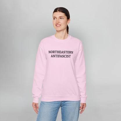 Northeastern Antifascist Sweatshirt