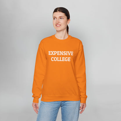 Expensive College Sweatshirt