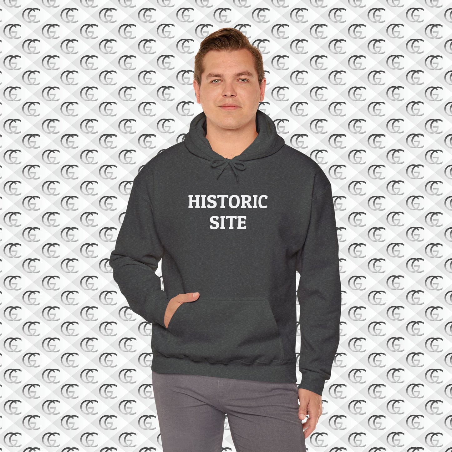 Historic Site Hoodie