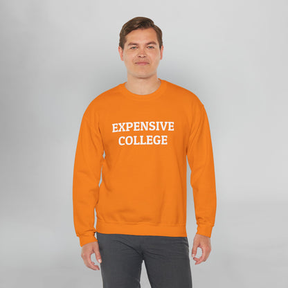 Expensive College Sweatshirt