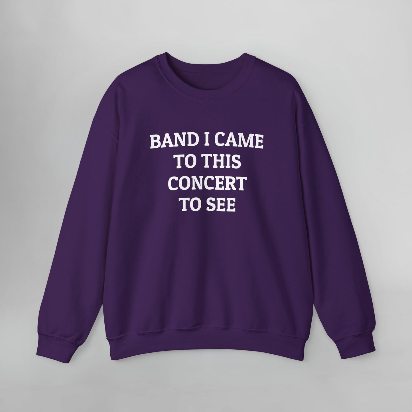 Band I Came to This Concert to See Sweatshirt