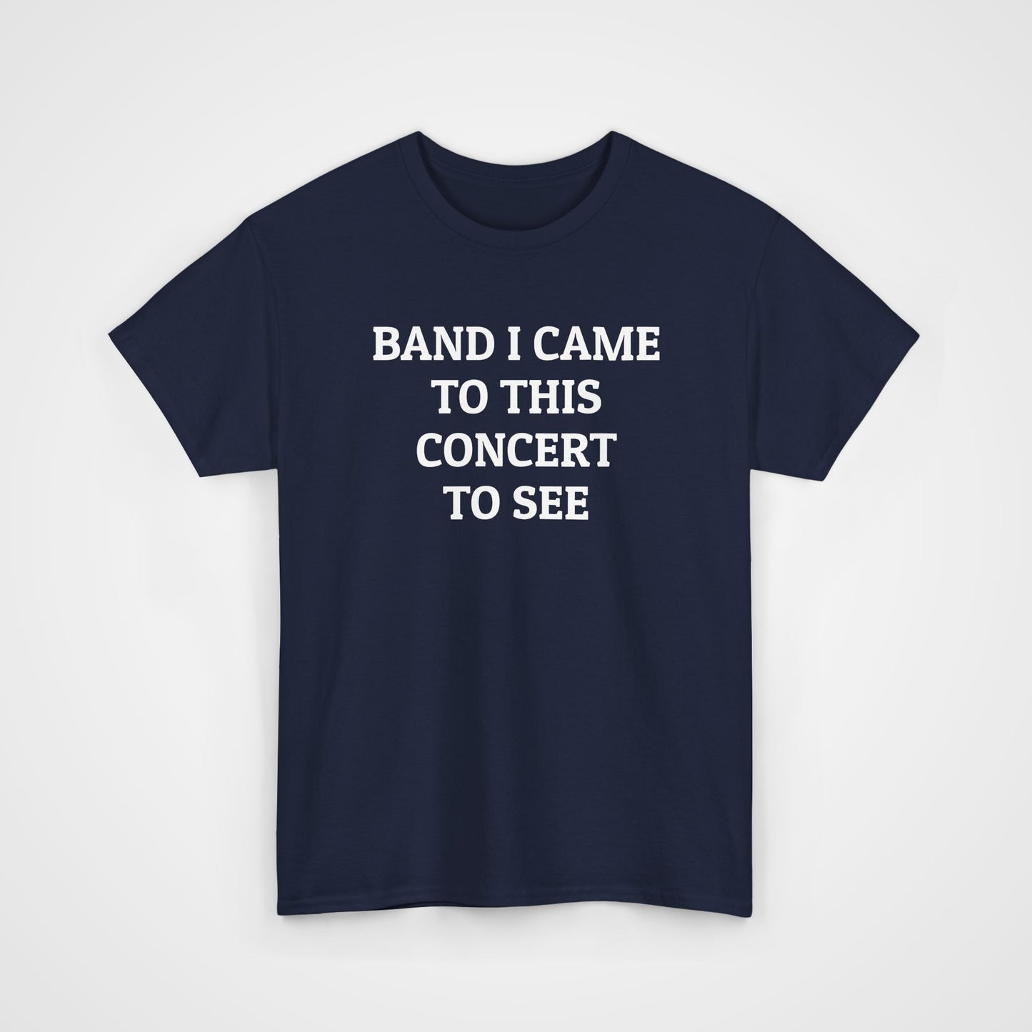 Band I Came to This Concert to See Tee