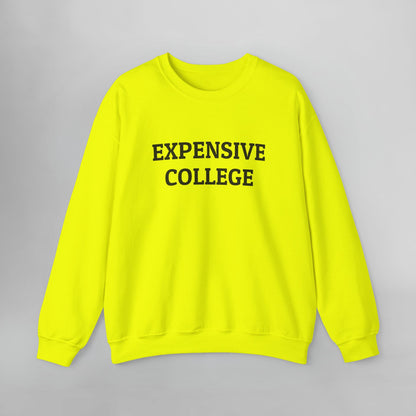 Expensive College Sweatshirt