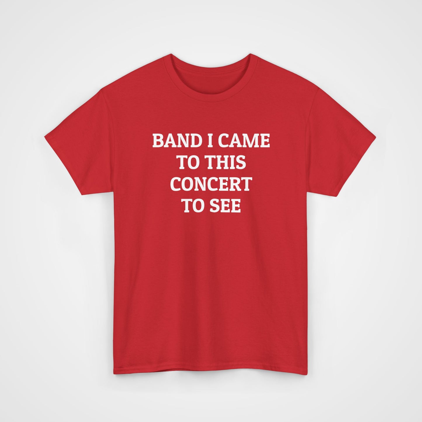 Band I Came to This Concert to See Tee