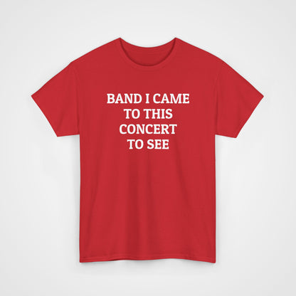 Band I Came to This Concert to See Tee