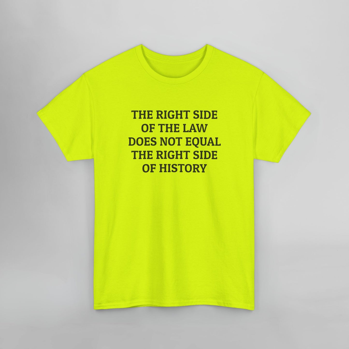 The Right Side of the Law Does Not Equal The Right Side of History Tee