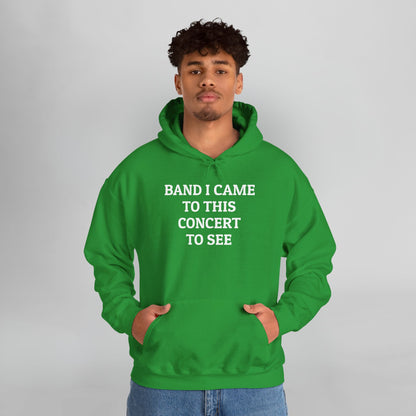 Band I Came to This Concert to See Hoodie