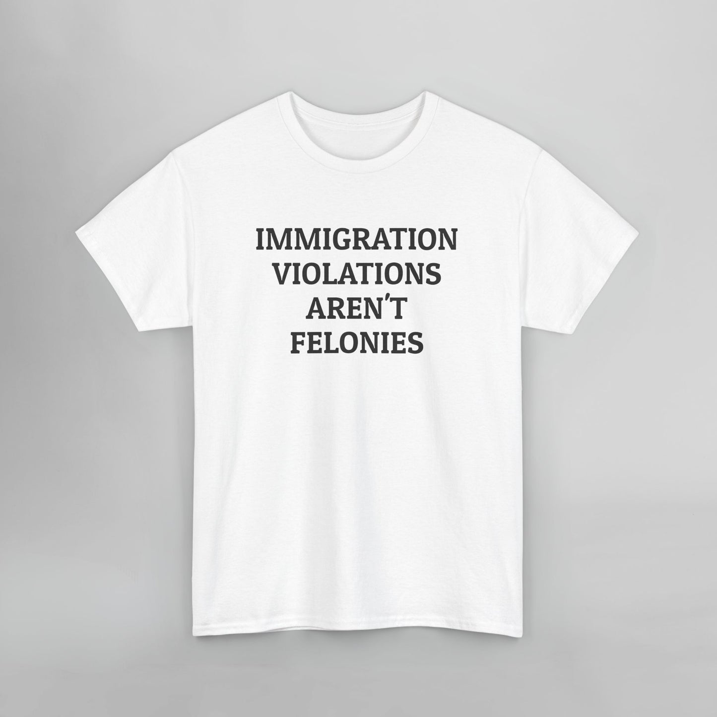 Immigration Violations Aren't Felonies Tee