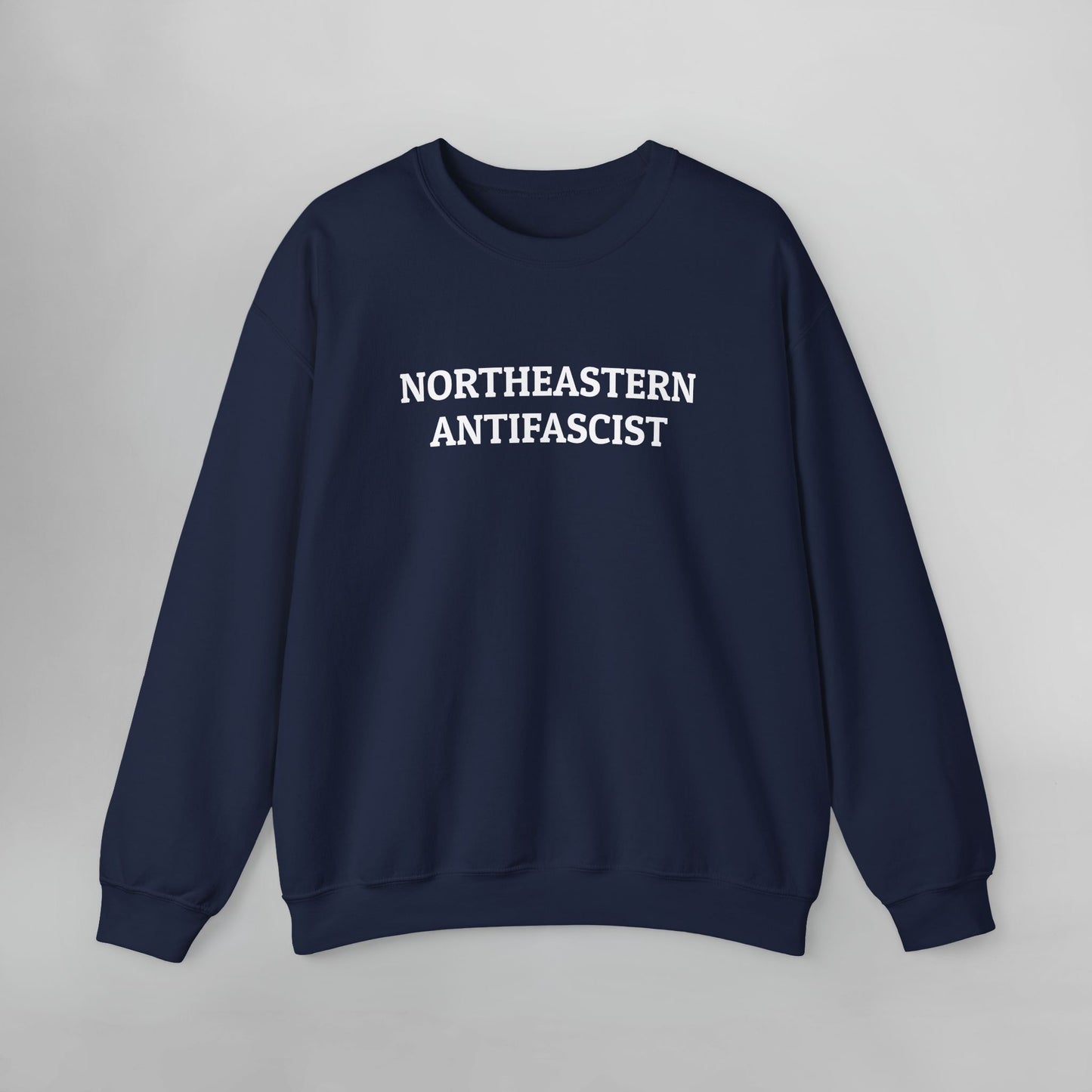 Northeastern Antifascist Sweatshirt