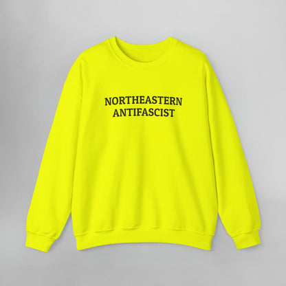Northeastern Antifascist Sweatshirt
