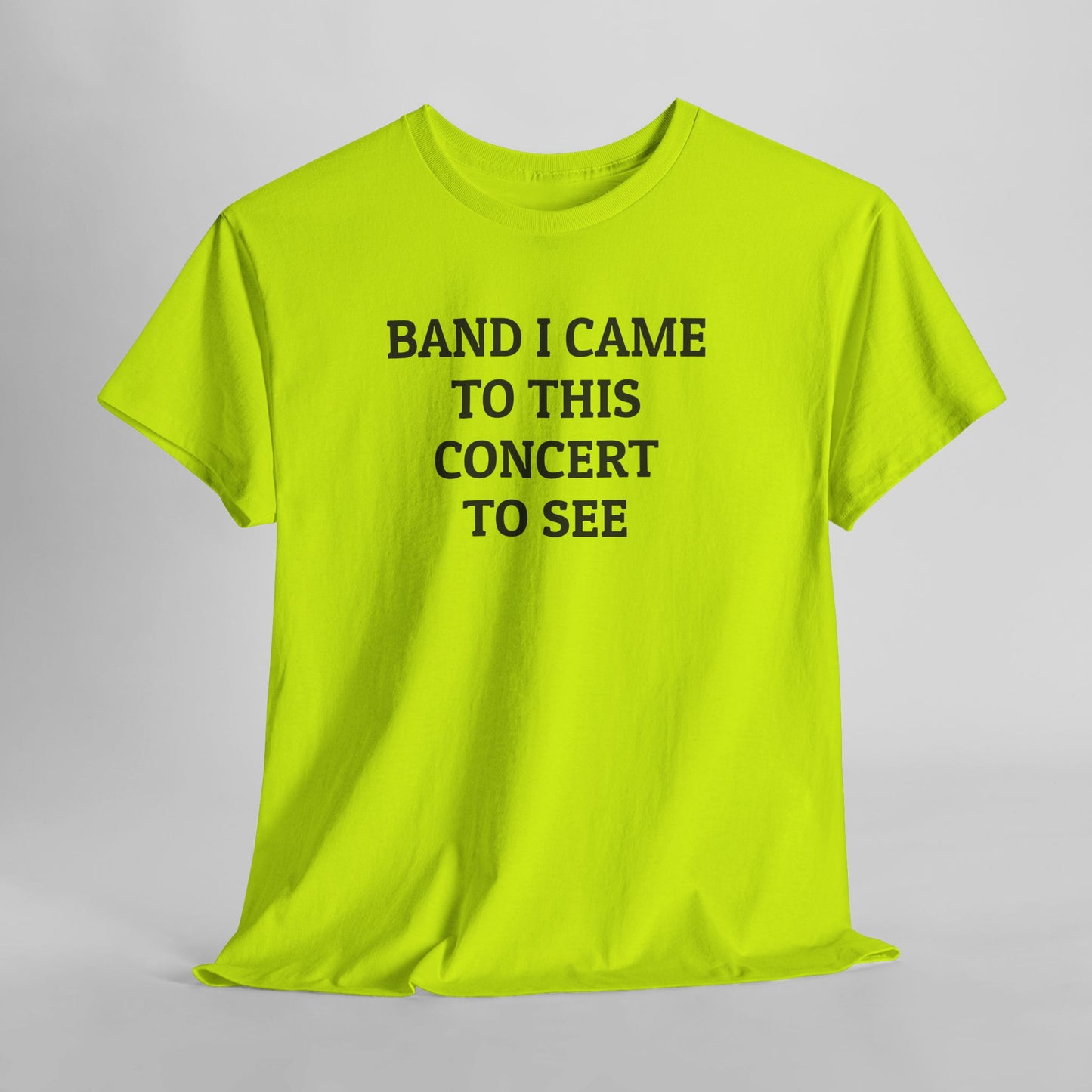 Band I Came to This Concert to See Tee