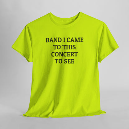 Band I Came to This Concert to See Tee
