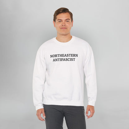 Northeastern Antifascist Sweatshirt