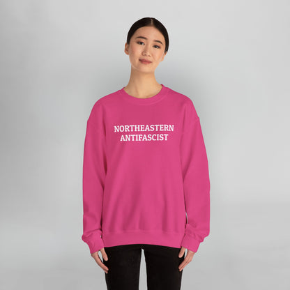 Northeastern Antifascist Sweatshirt