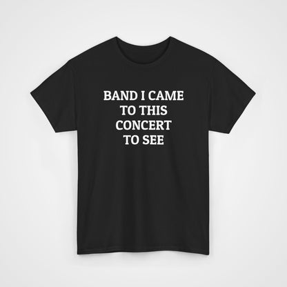 Band I Came to This Concert to See Tee