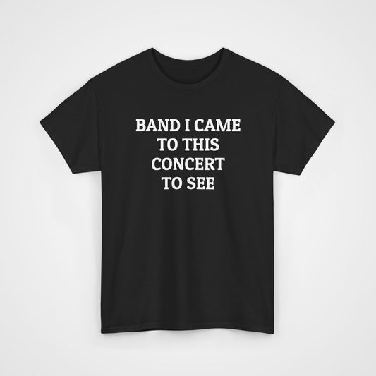 Band I Came to This Concert to See Tee