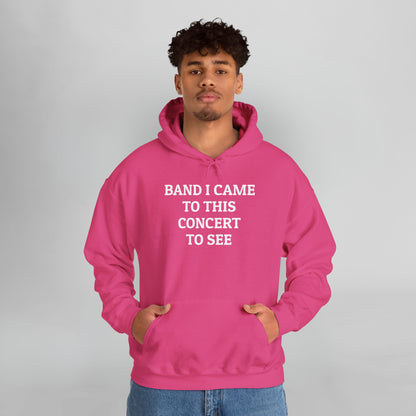 Band I Came to This Concert to See Hoodie